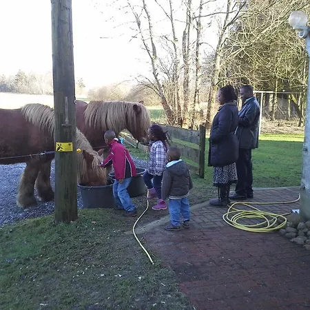 B&B Bylderup-bov 3*