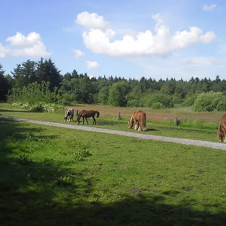 B&B Bylderup-bov Bylderup